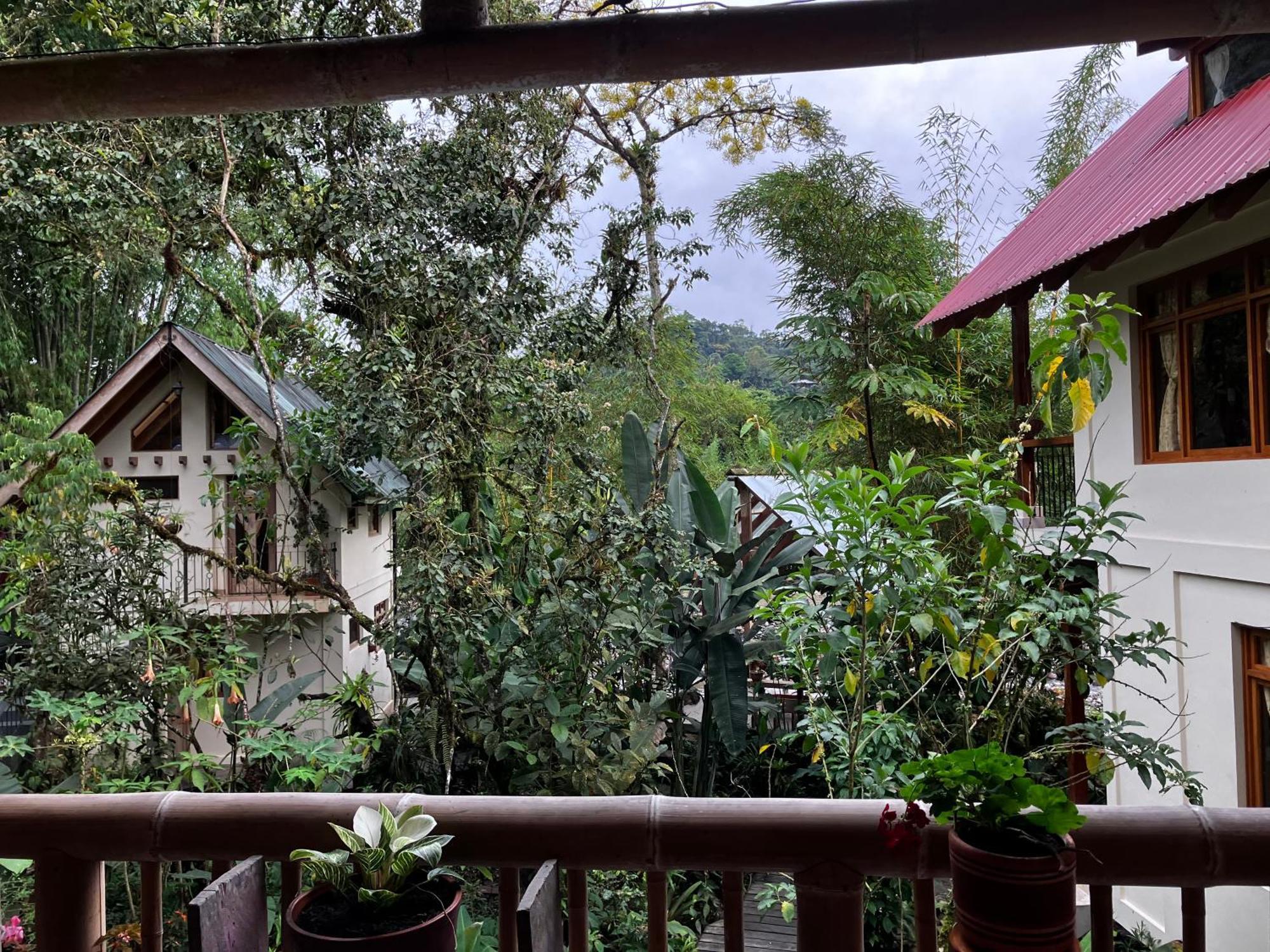 Casa Del Rio En Mindo Bed & Breakfast Exterior foto