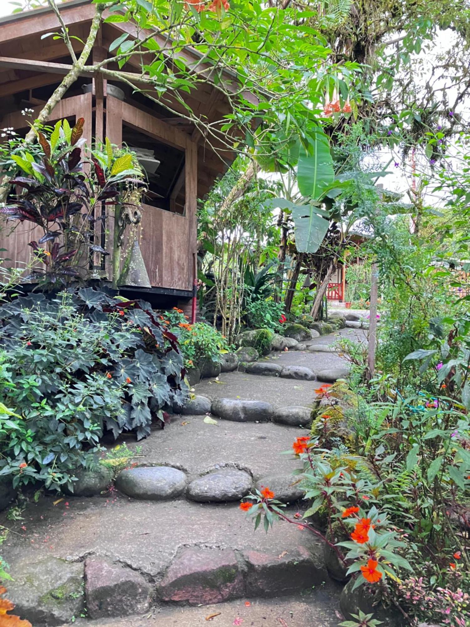 Casa Del Rio En Mindo Bed & Breakfast Exterior foto