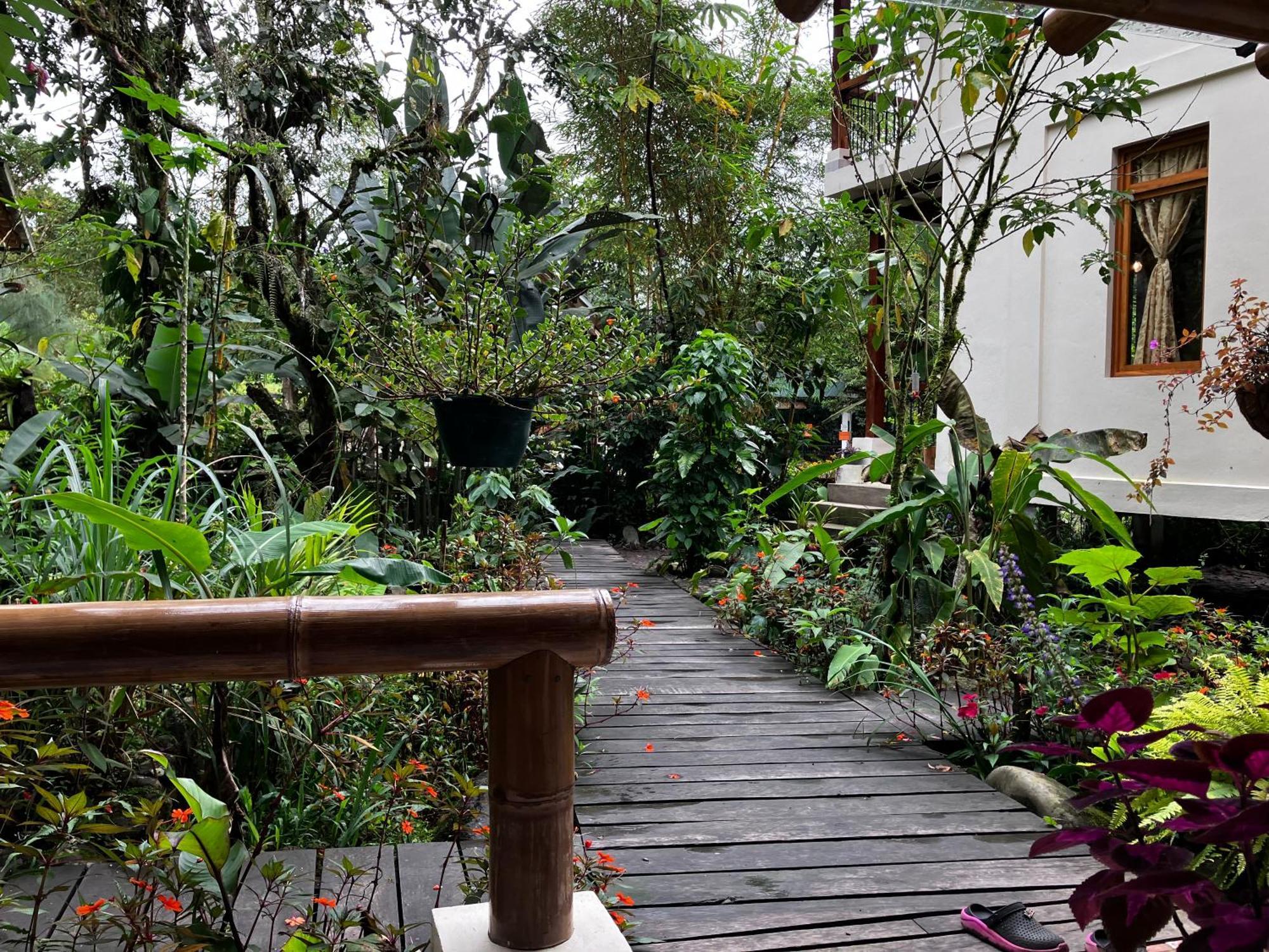 Casa Del Rio En Mindo Bed & Breakfast Exterior foto