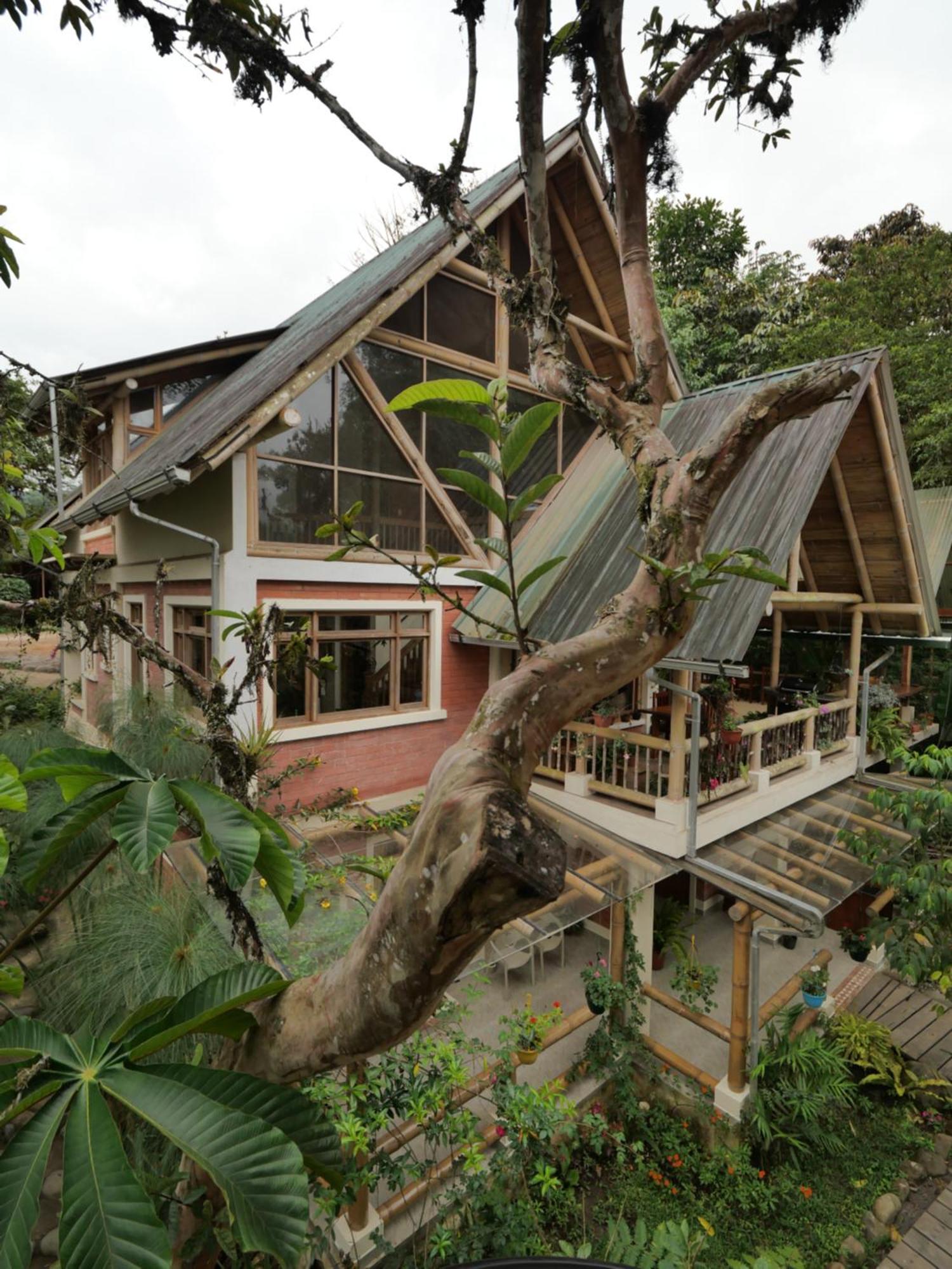 Casa Del Rio En Mindo Bed & Breakfast Exterior foto